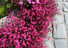 Гранитная брусчатка: разновидности, применение